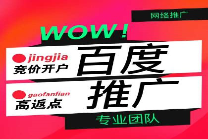 如何在有限预算下最大化百度推广费用的效果——案例解读
