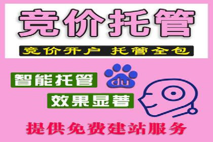SEM服务公司助力企业国际化案例